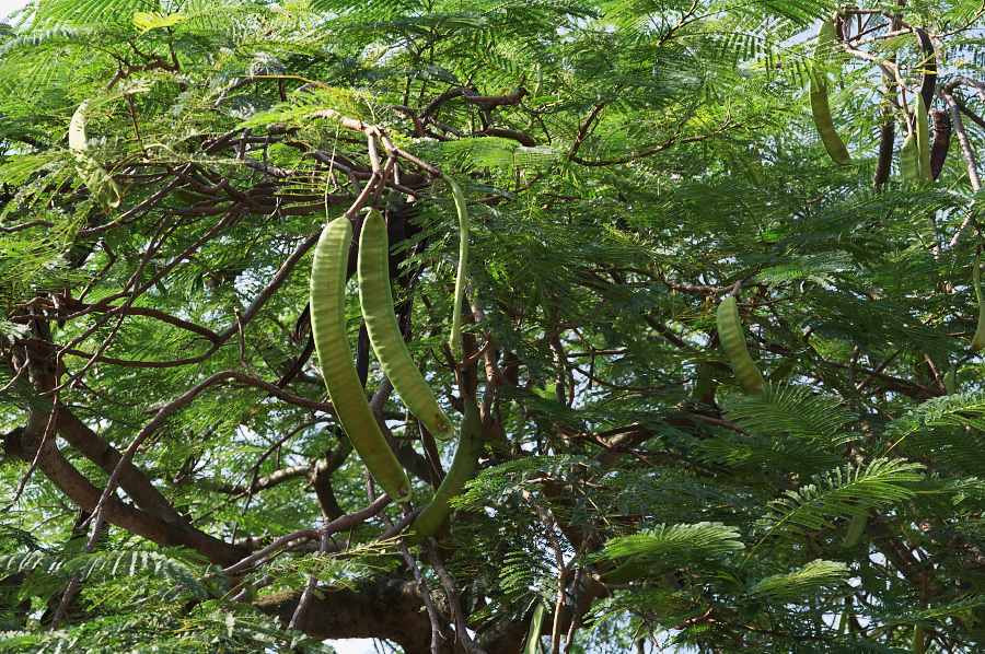 IMGP0139.jpg(1317511 byte)