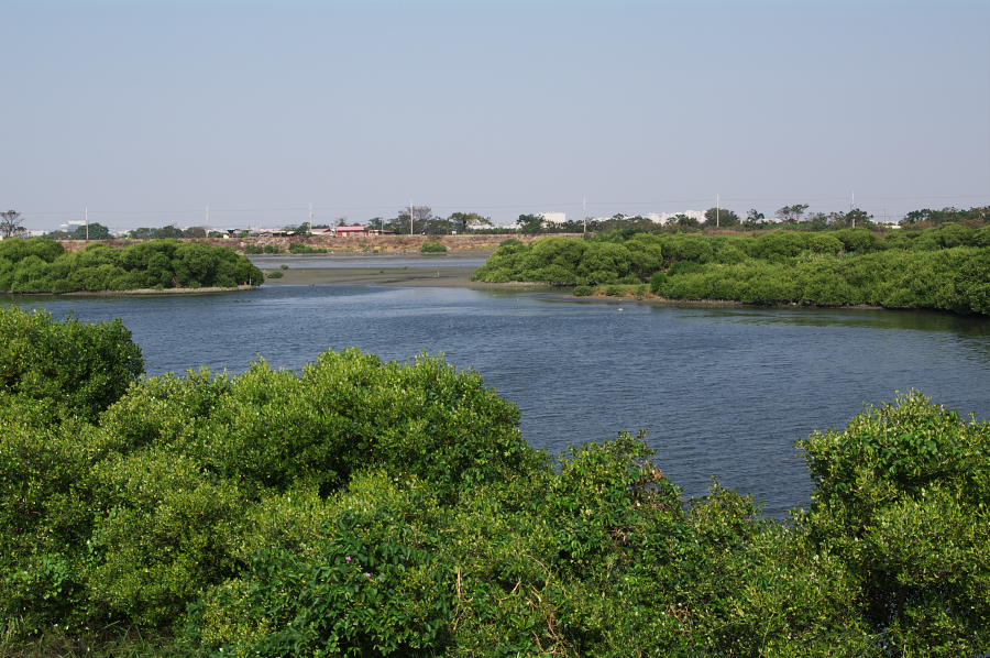 IMGP0150.jpg(878618 byte)