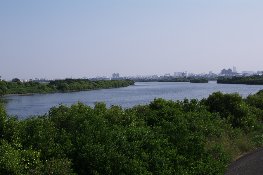 IMGP0152.jpg(650034 byte)