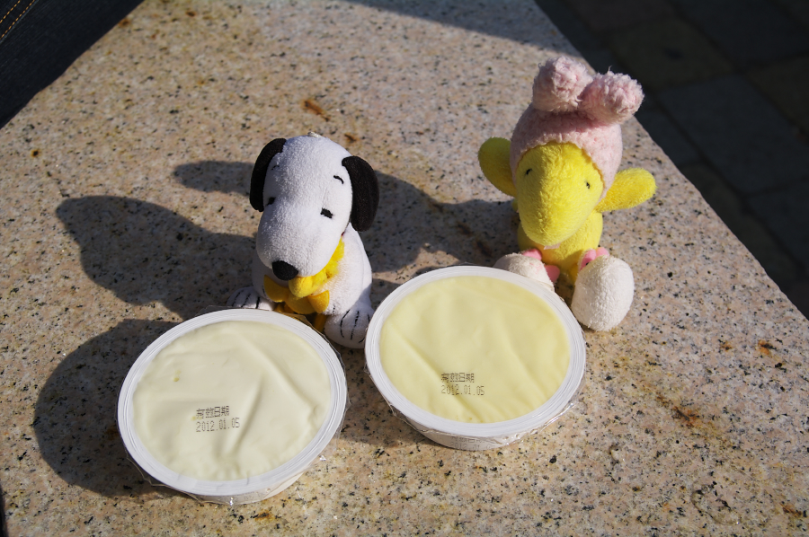 IMGP0102.jpg(682800 byte)