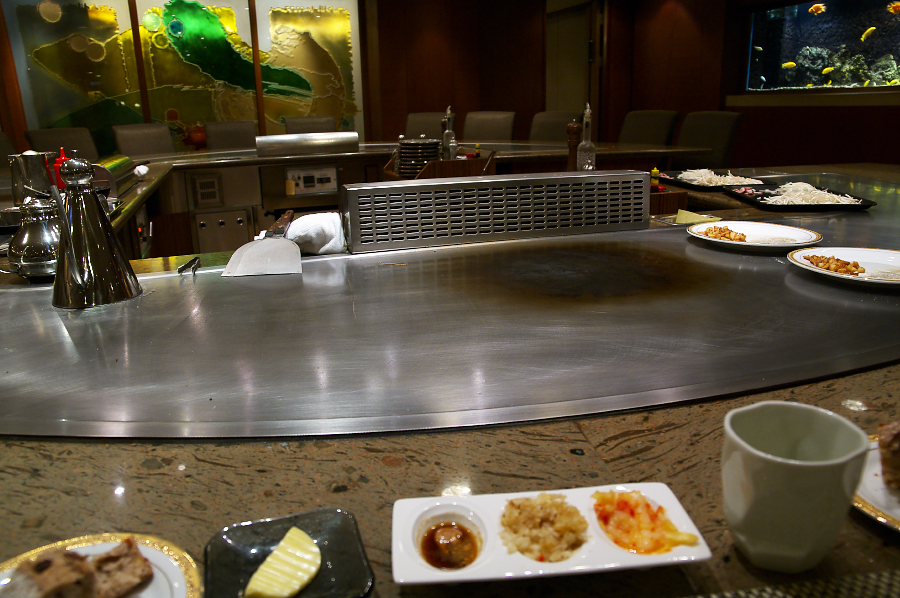 IMGP0249.jpg(784529 byte)