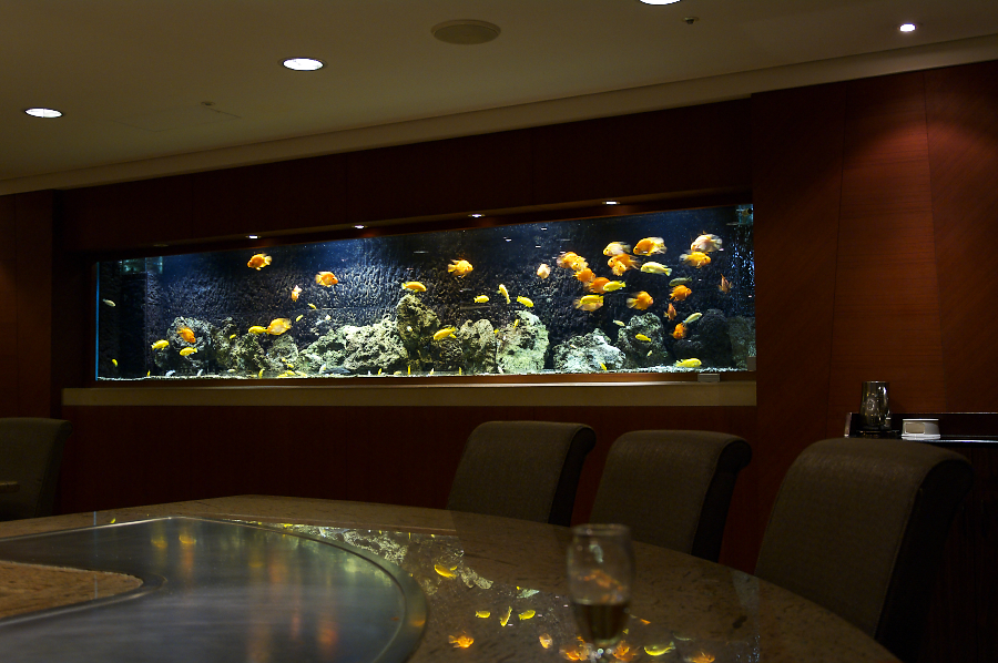 IMGP0289.jpg(677378 byte)