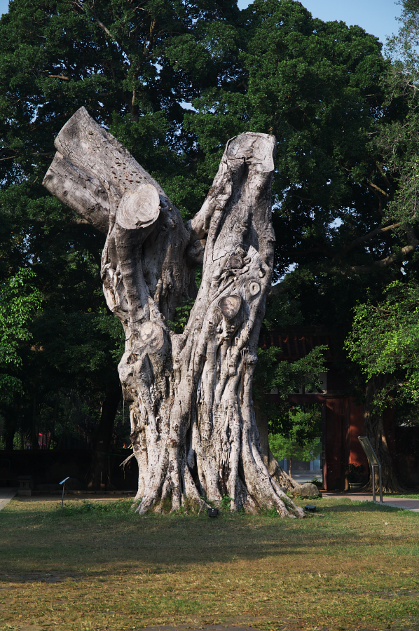 IMGP0021.jpg(1028716 byte)