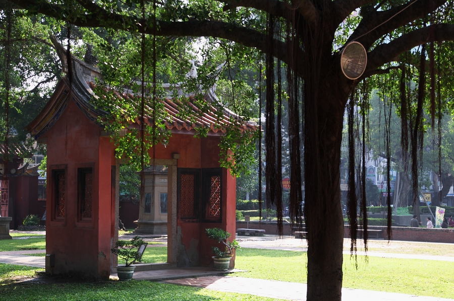 IMGP0114.jpg(956028 byte)