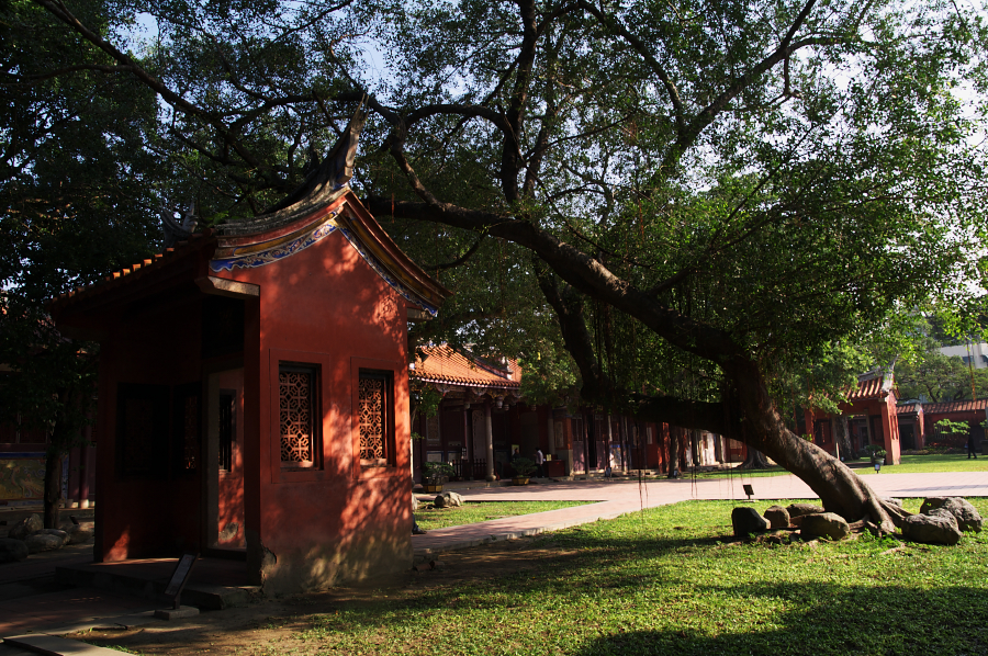 IMGP0128.jpg(1133697 byte)