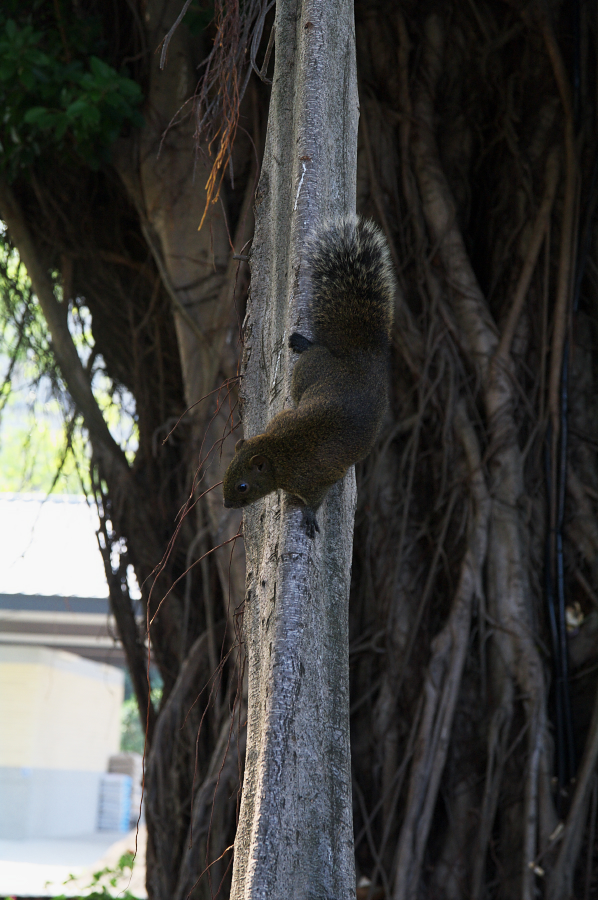 IMGP0140.jpg(676957 byte)