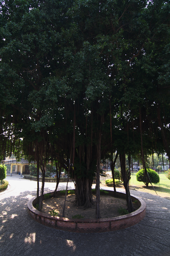 IMGP0158.jpg(864168 byte)