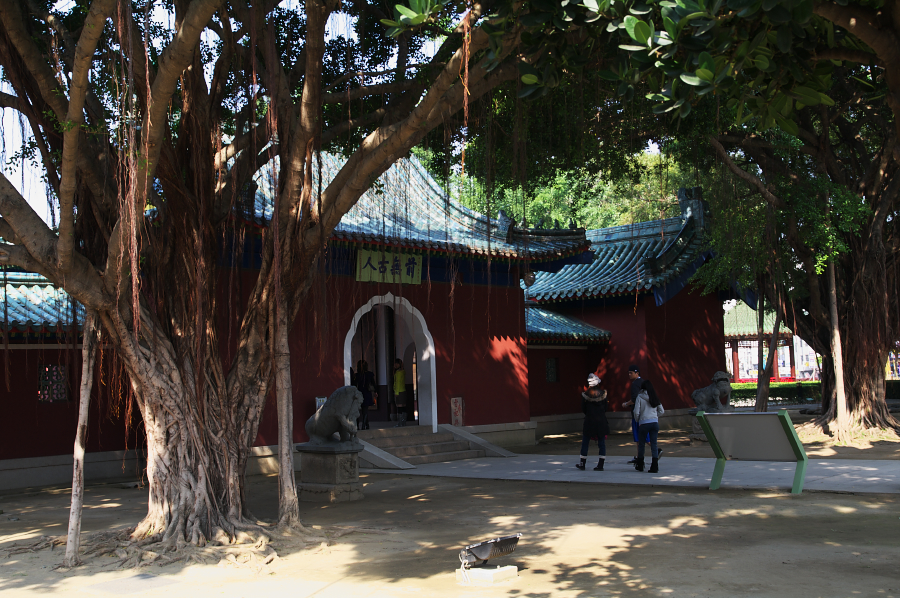 IMGP0170.jpg(883686 byte)