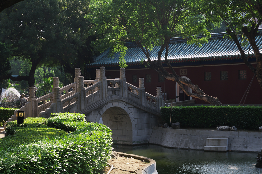 IMGP0202.jpg(895881 byte)