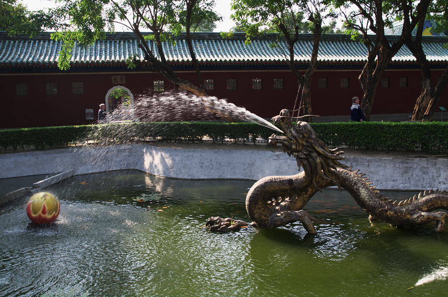 IMGP0205.jpg(974699 byte)