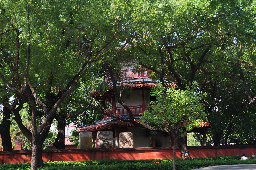 IMGP0230.jpg(1177862 byte)