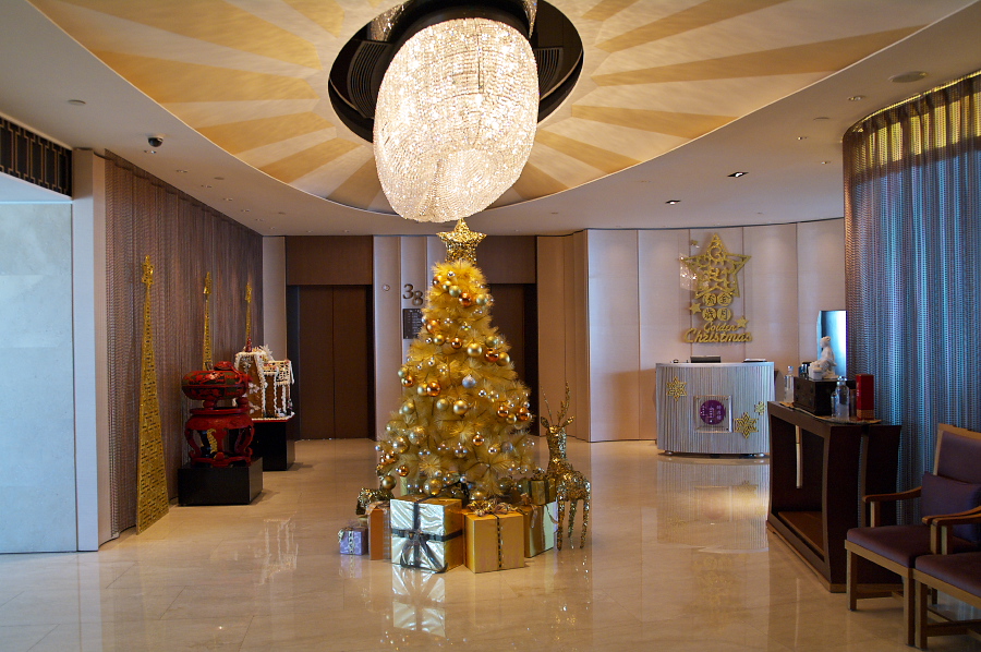 IMGP0371.jpg(366164 byte)