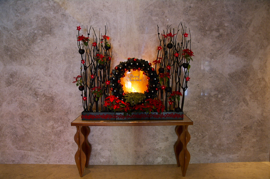 IMGP0372.jpg(387782 byte)