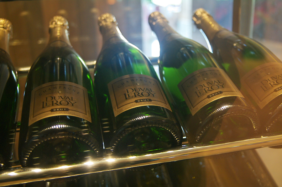 IMGP0375.jpg(292037 byte)