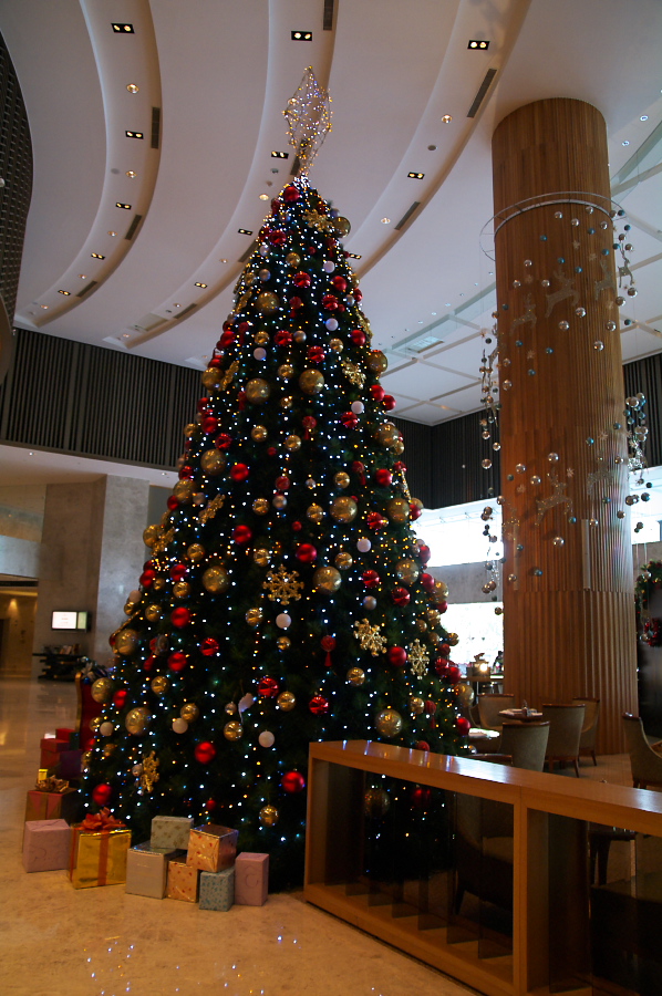 IMGP0378.jpg(373117 byte)