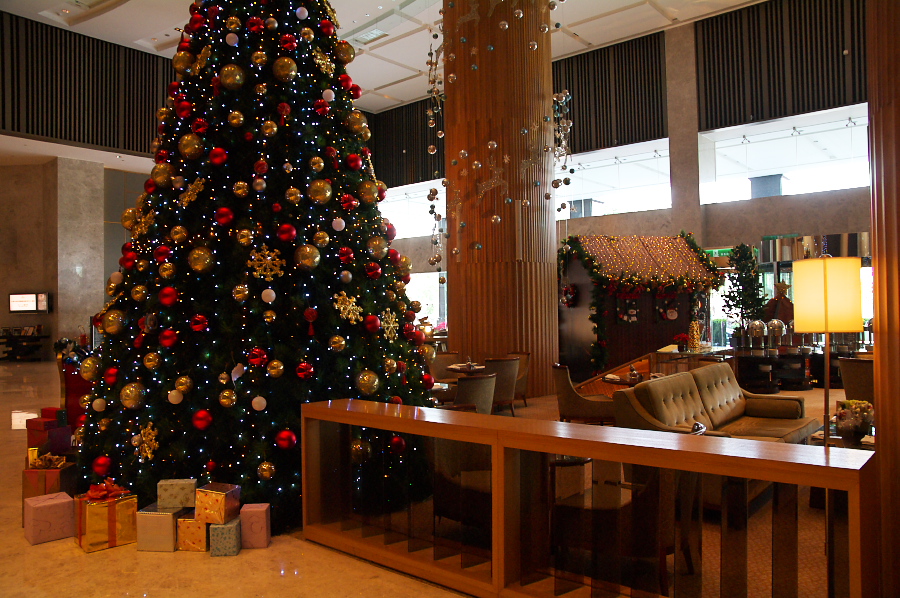 IMGP0379.jpg(434688 byte)