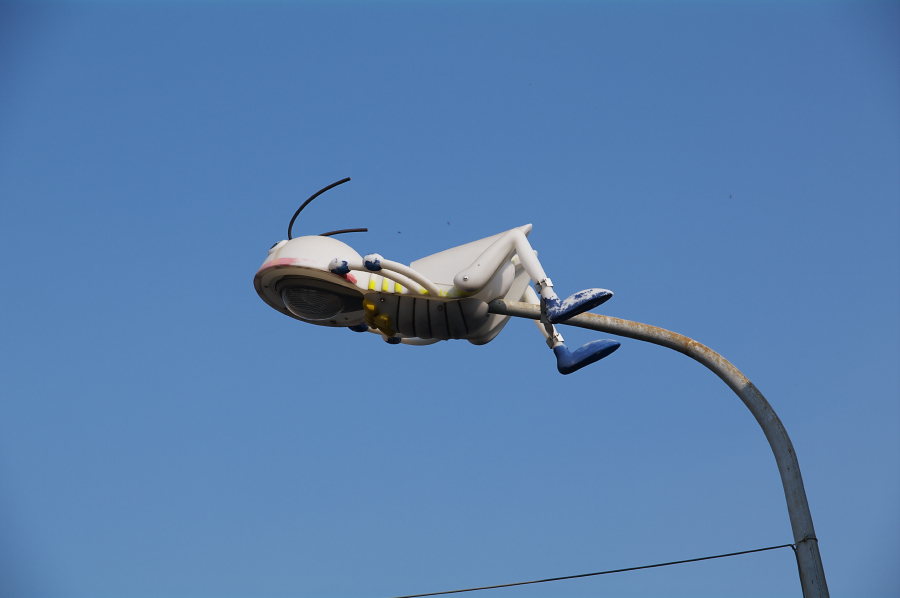 IMGP0404.jpg(296652 byte)