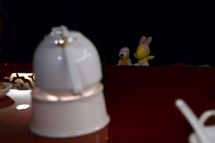 IMGP0540.jpg(177708 byte)