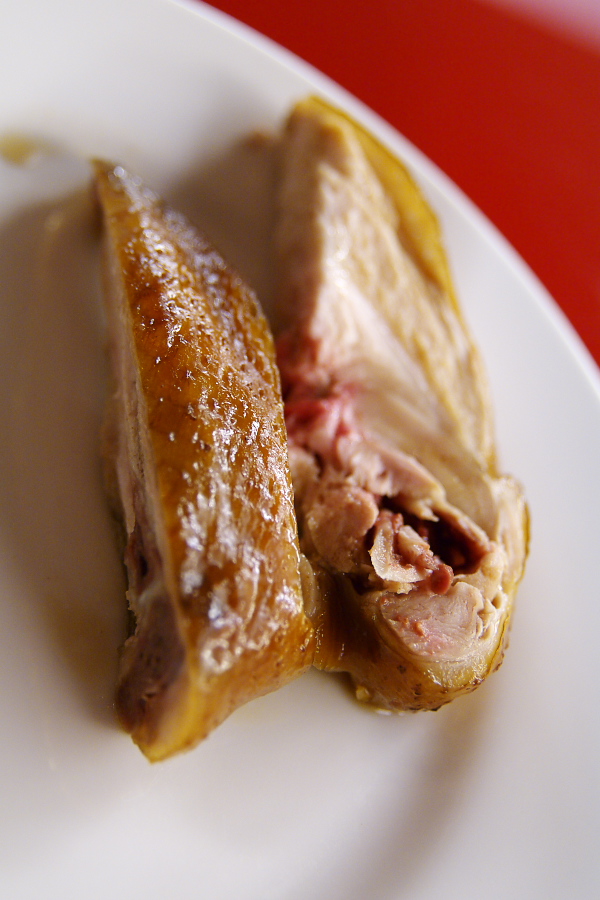 IMGP0556.jpg(260174 byte)