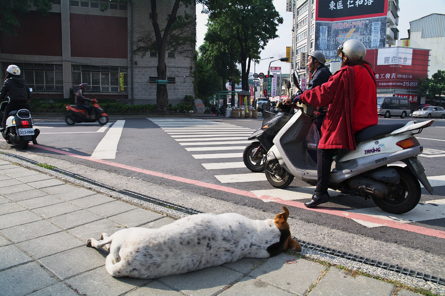 IMGP0012.jpg(849580 byte)