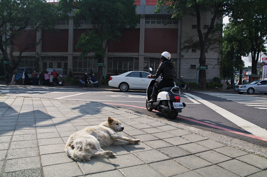 IMGP0013.jpg(780152 byte)