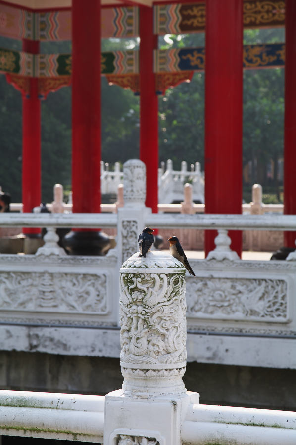 IMGP0033.jpg(488509 byte)