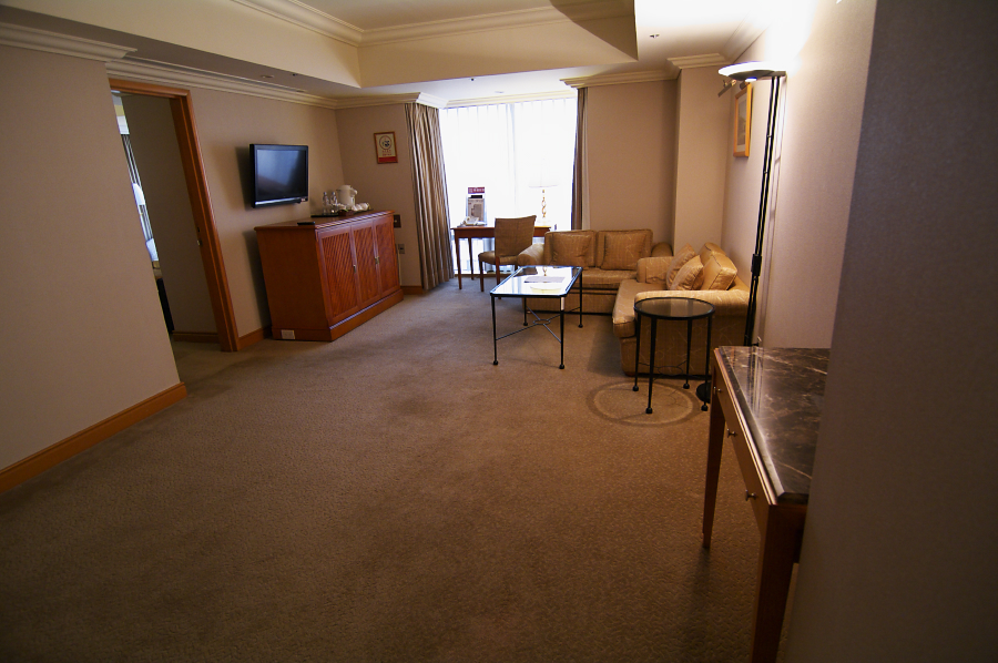 IMGP0176.jpg(657487 byte)