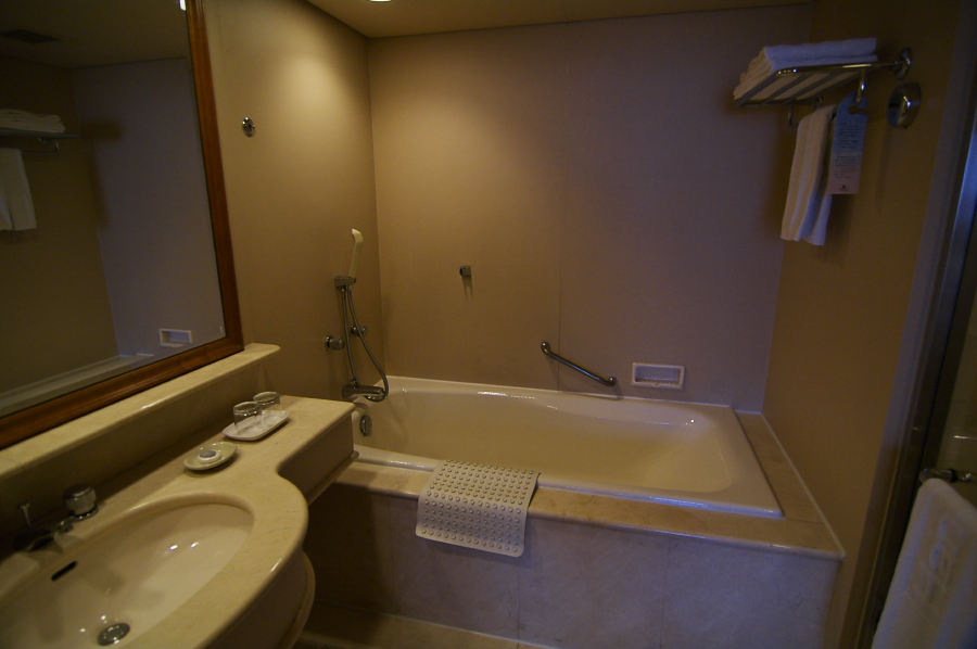 IMGP0190.jpg(593307 byte)