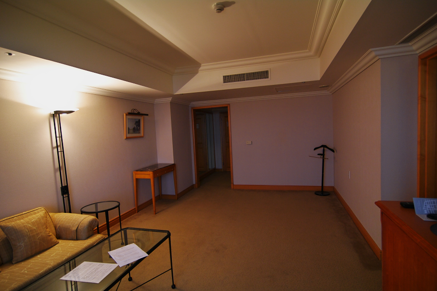 IMGP0192.jpg(541764 byte)