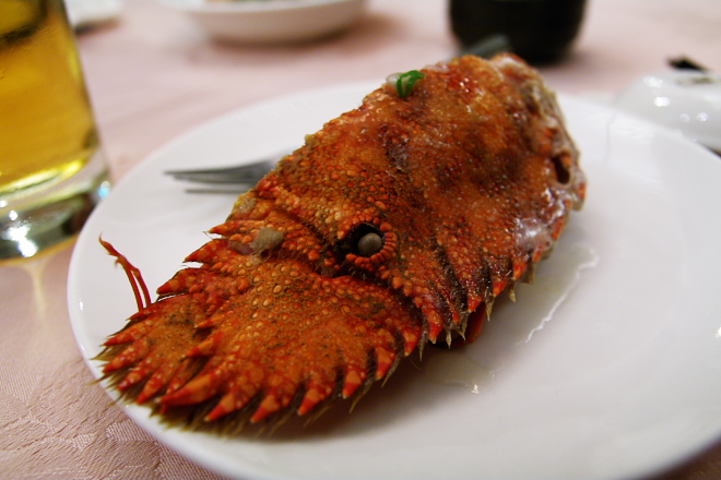 IMGP0327.jpg(160149 byte)