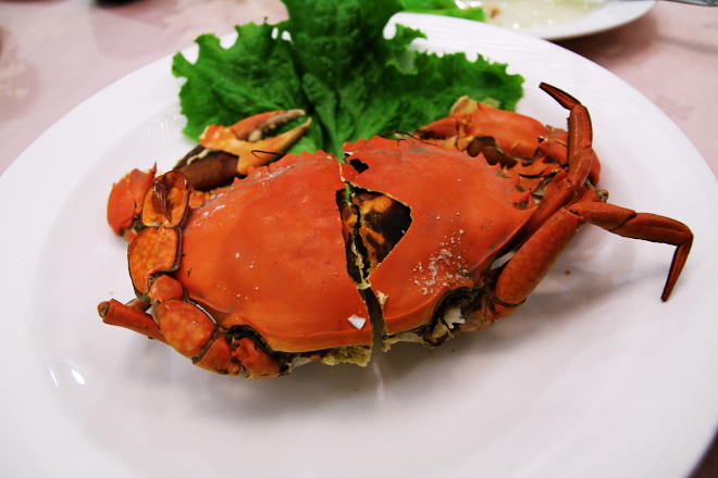 IMGP0340.jpg(149277 byte)