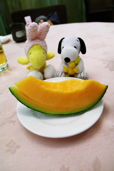 IMGP0352.jpg(138940 byte)