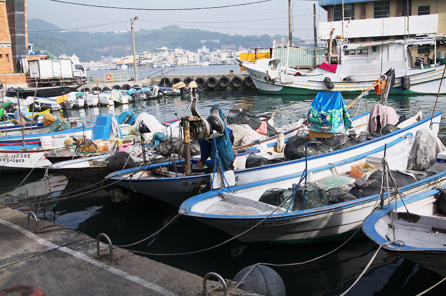 IMGP0098.jpg(887942 byte)