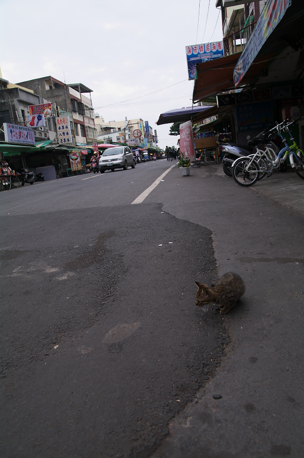 IMGP0212.jpg(608353 byte)