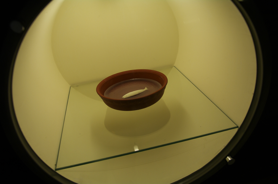 IMGP0107.jpg(327793 byte)