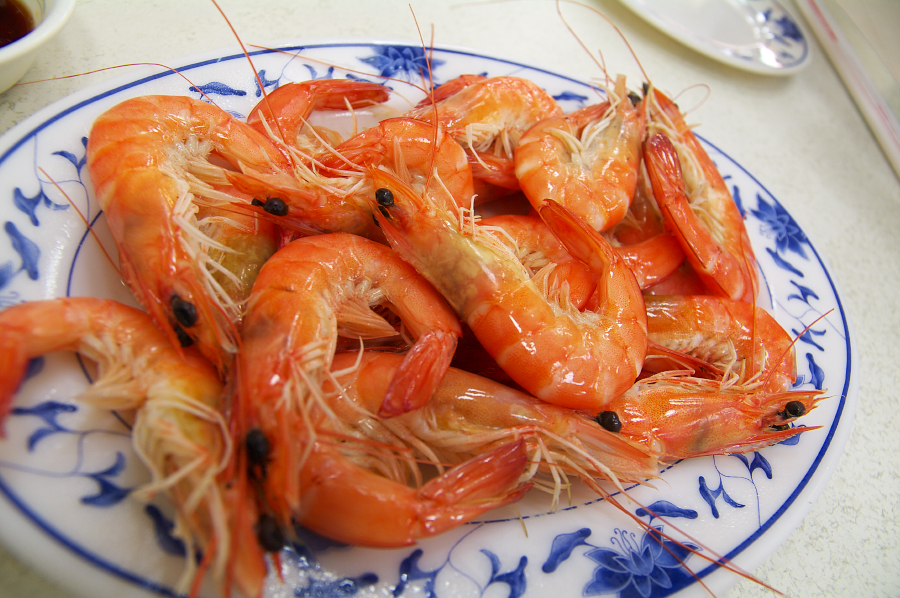 IMGP0154.jpg(803678 byte)