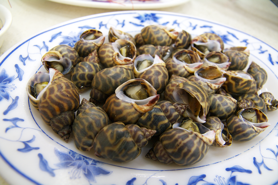 IMGP0160.jpg(762986 byte)