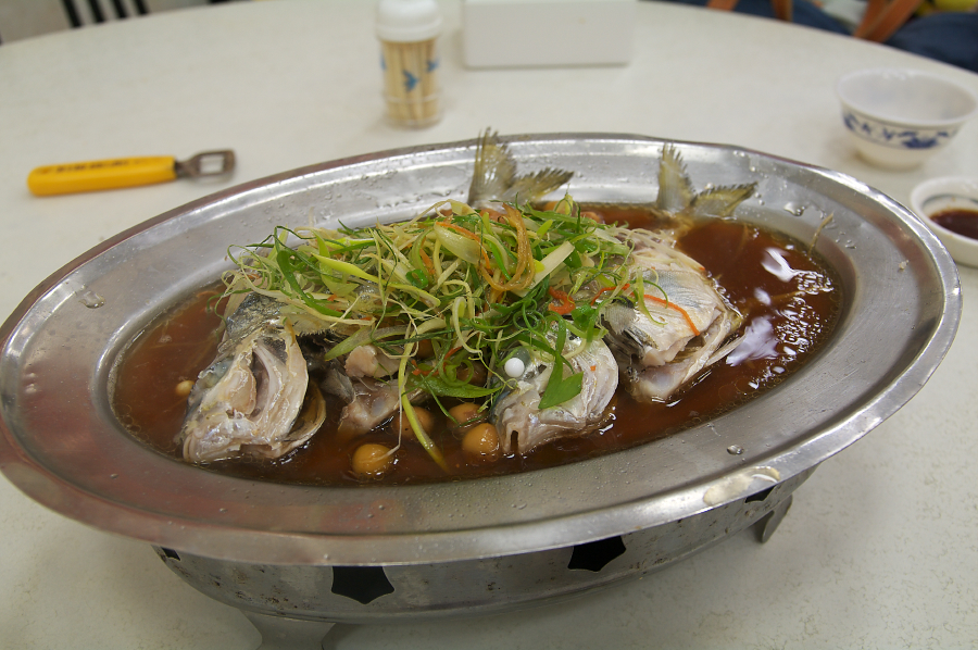 IMGP0174.jpg(656801 byte)