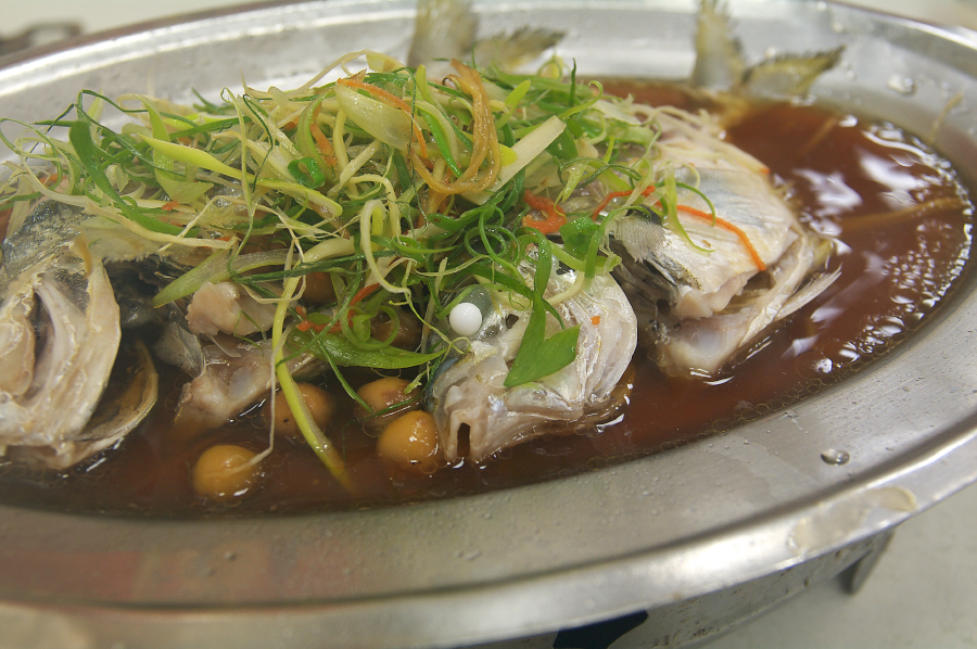 IMGP0177.jpg(769643 byte)