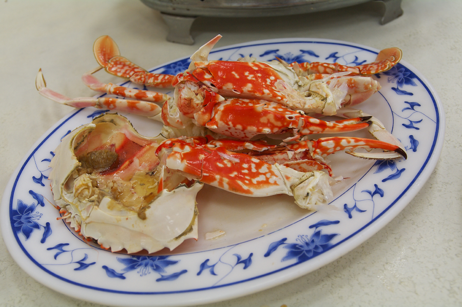 IMGP0184.jpg(695284 byte)