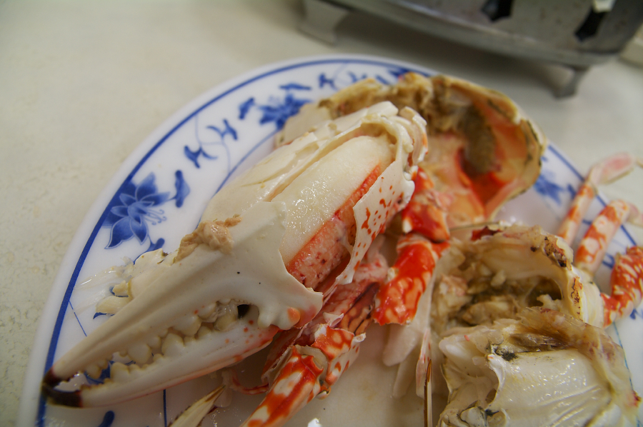 IMGP0187.jpg(573934 byte)