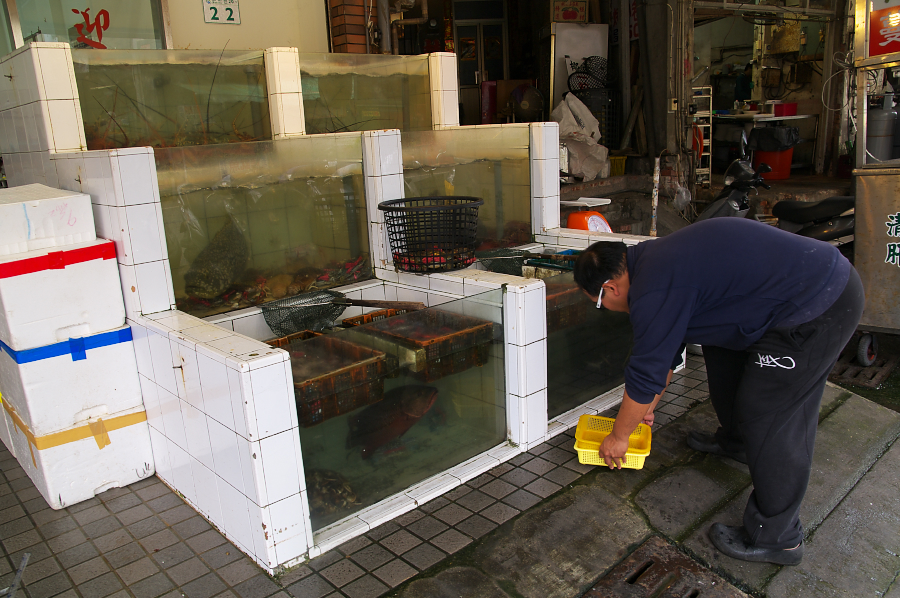 IMGP0202.jpg(741286 byte)