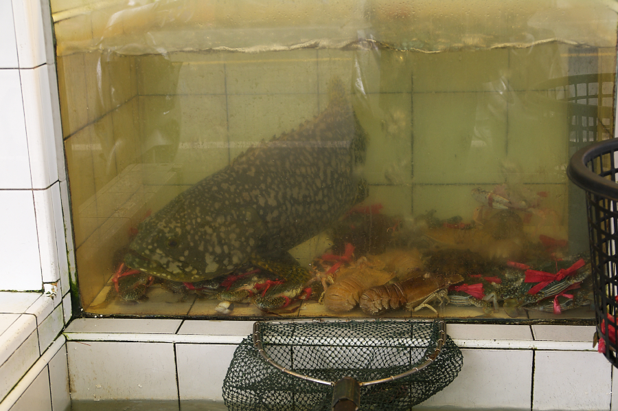 IMGP0203.jpg(704092 byte)