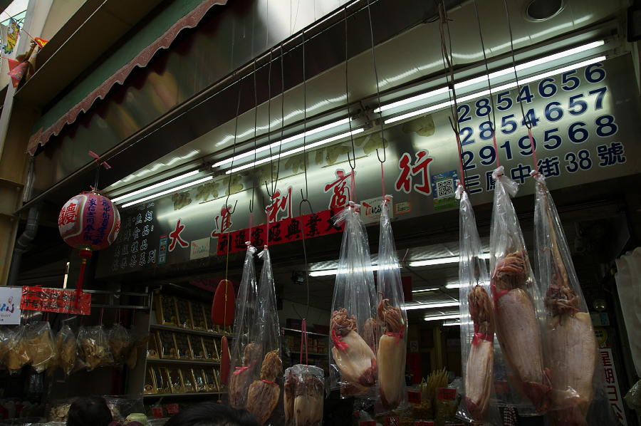 IMGP0266.jpg(758121 byte)