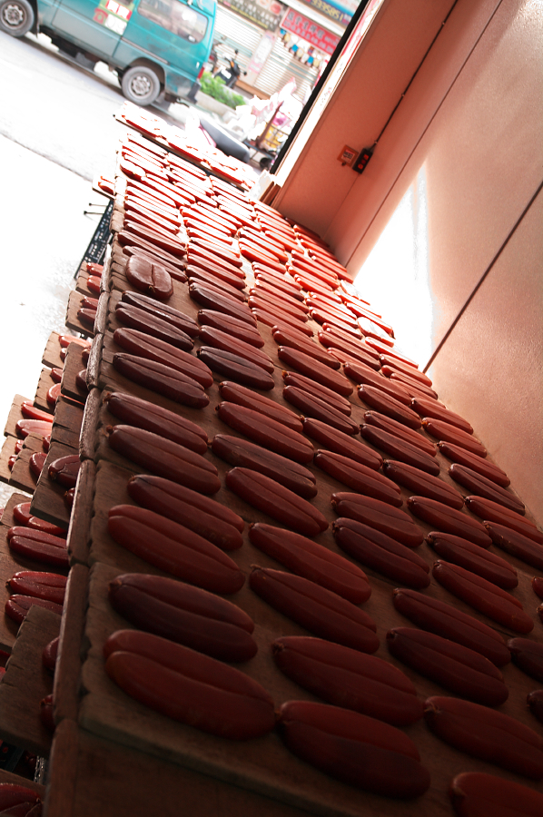 IMGP0303.jpg(751745 byte)