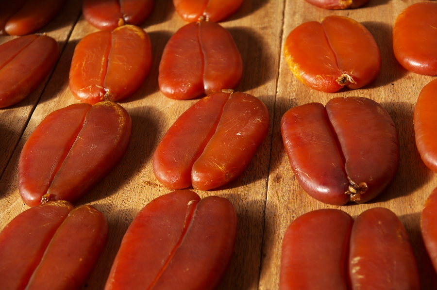 IMGP0308.jpg(674054 byte)