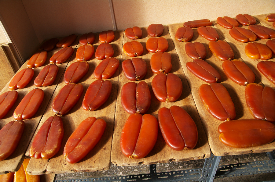 IMGP0310.jpg(869994 byte)