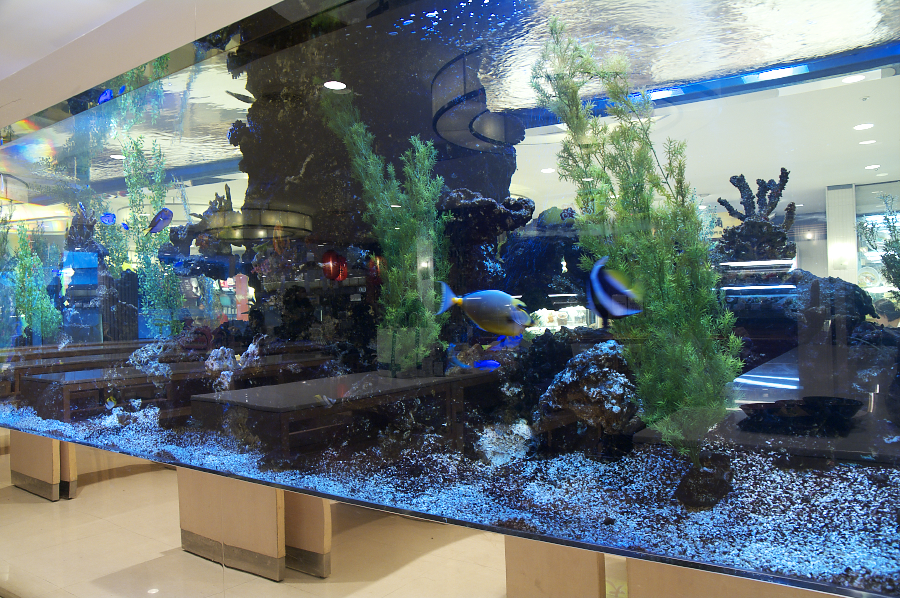 IMGP0334.jpg(1076606 byte)