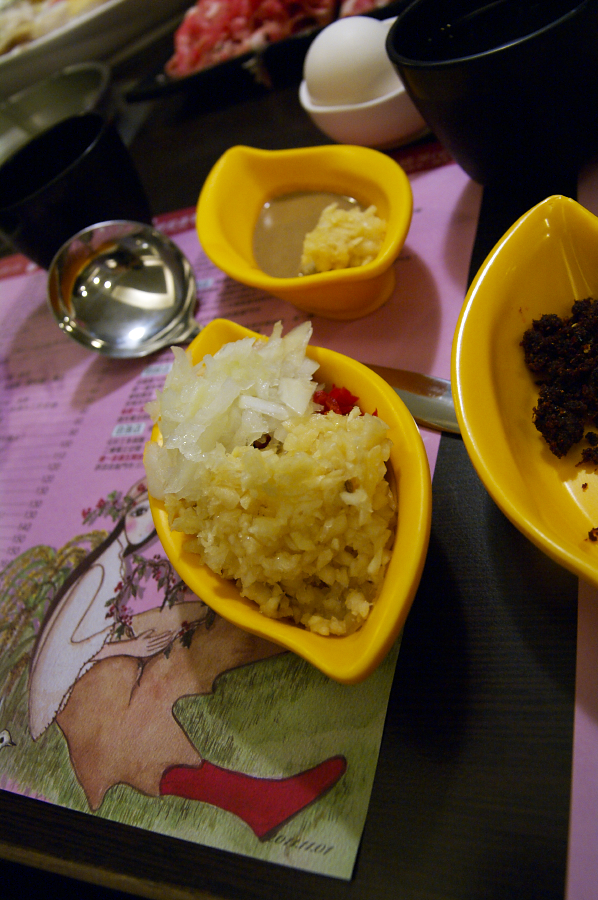 IMGP0025.jpg(769267 byte)