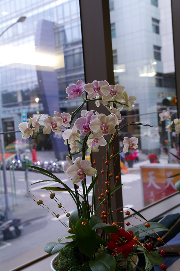 IMGP0091.jpg(641437 byte)